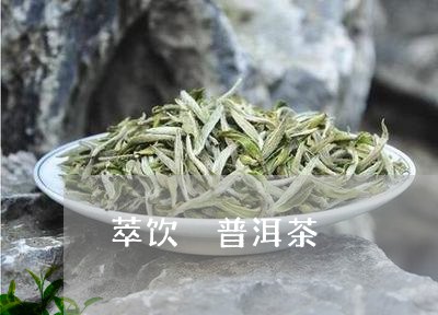 萃饮 普洱茶/2023042682045